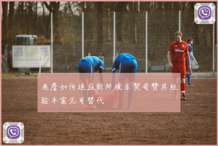 老詹如何适应新环境东契奇赞其经验丰富无可替代