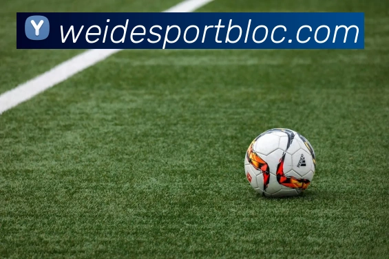 伟德体育APP 高清赛事图